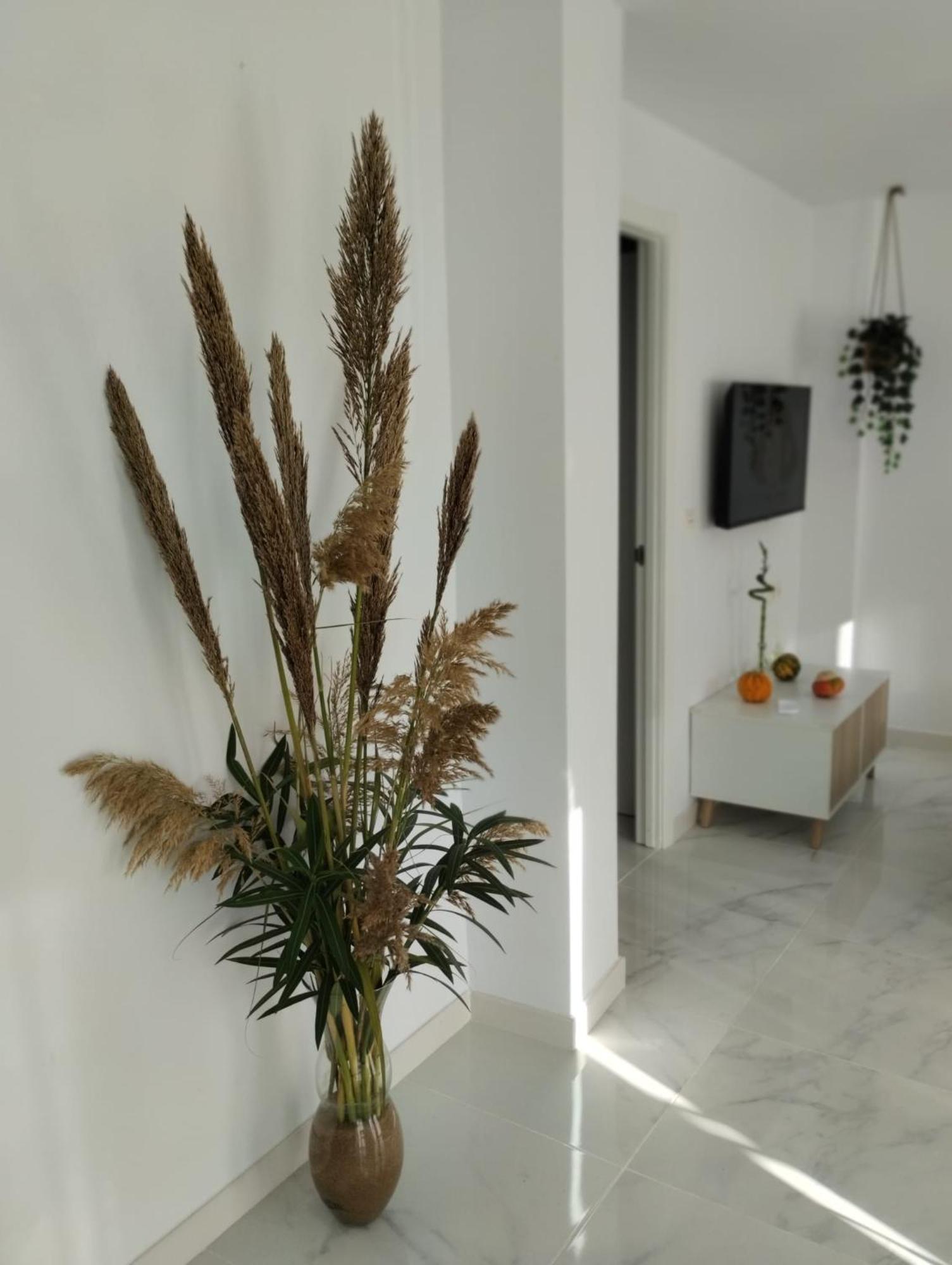 Apartamento Sun Gate Χέρεζ Εξωτερικό φωτογραφία